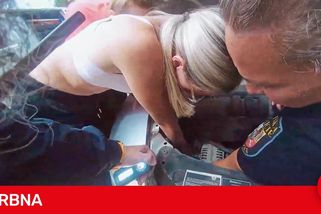 Kotě dva dny zoufale mňoukalo zpod kapoty auta, uvízlo za motorem